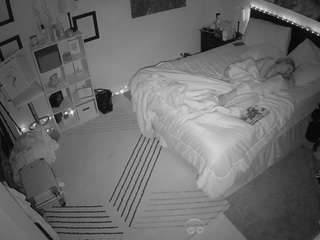 The Horny Hostel - Bedroom 2